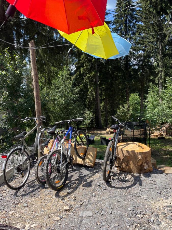 Carpatic Hotell Predeal Eksteriør bilde